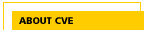 About CVE