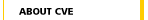 About CVE